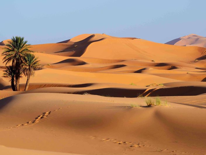 LES SECRETS DES SABLES